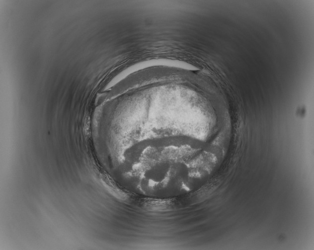 X0000114560081200911161233