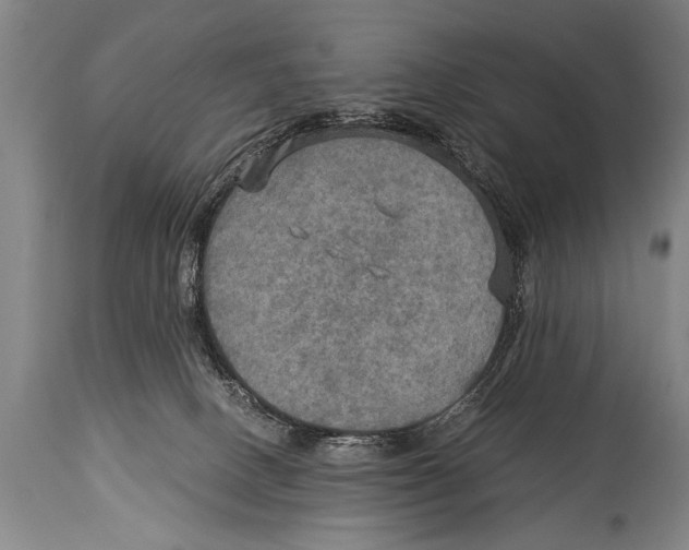 X0000114560082200911161233