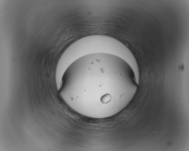 X0000114560084200911161233