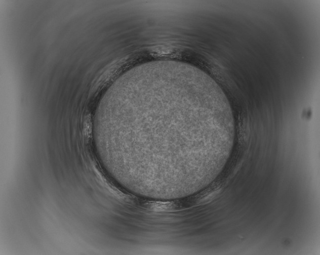 X0000114560085200911161233