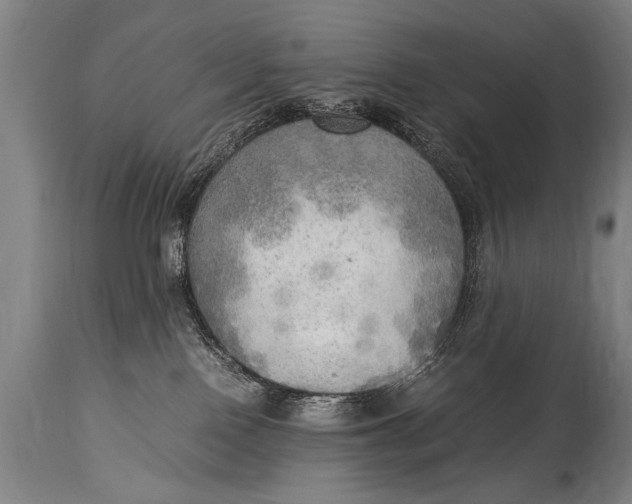 X0000114560090200911161233