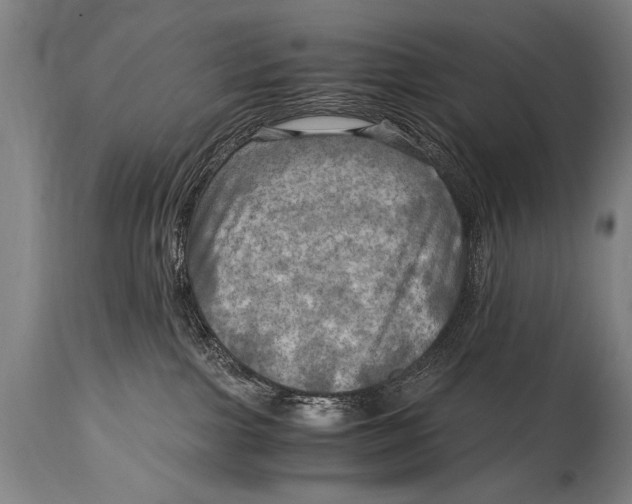 X0000114560091200911161233