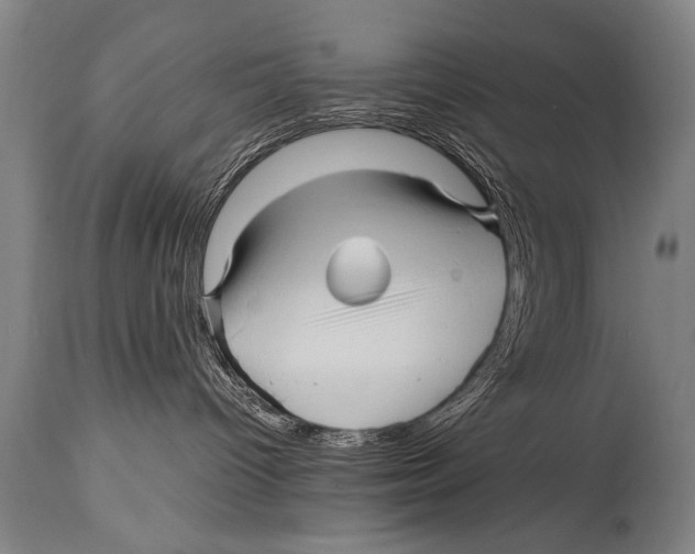 X0000114560096200911161233