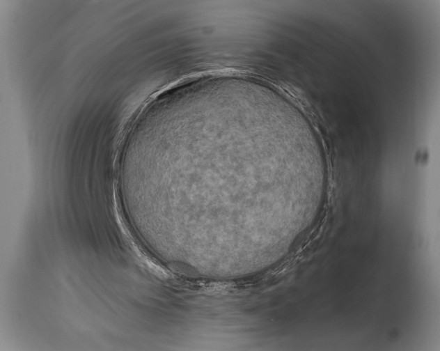 X0000114560097200911161233