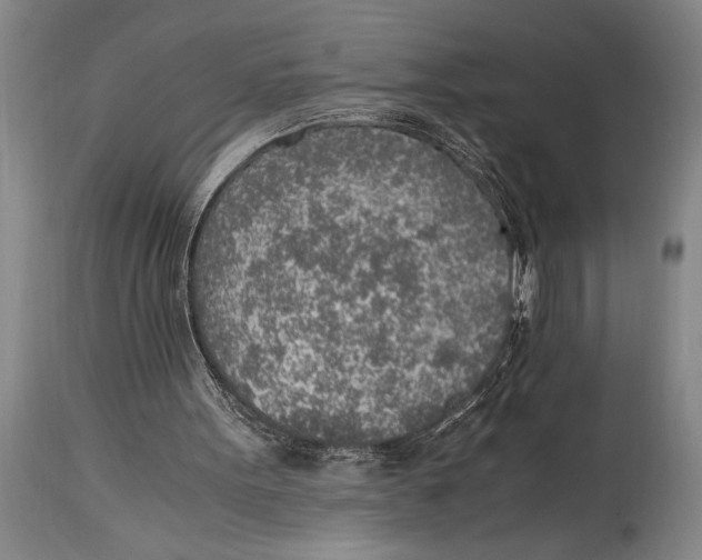 X0000114560099200911161233