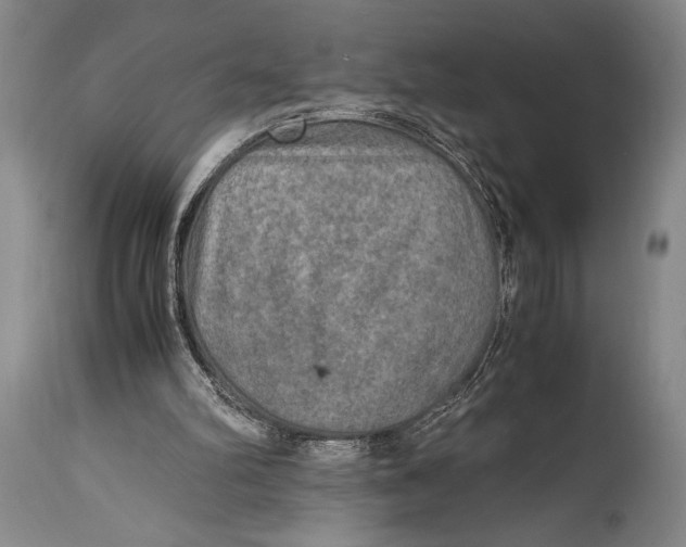 X0000114560102200911161233
