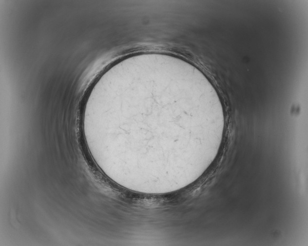 X0000114560103200911161233