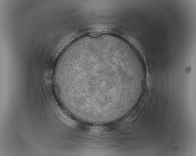 X0000114560105200911161233