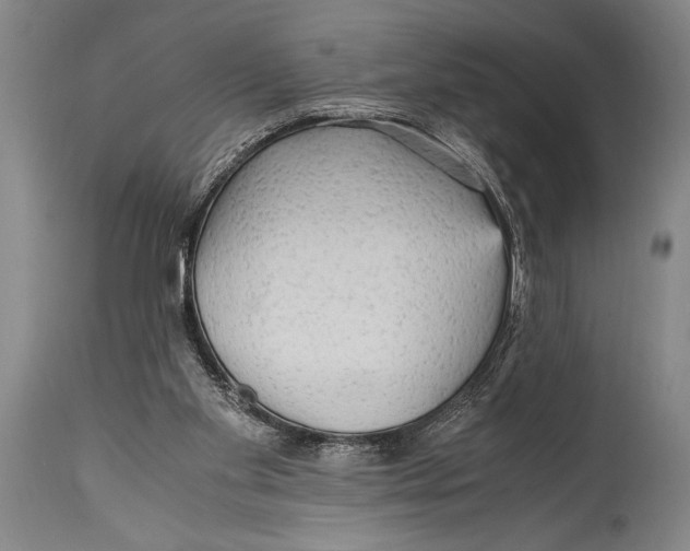 X0000114560109200911161233