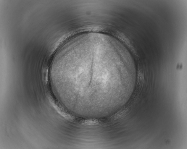 X0000114560110200911161233