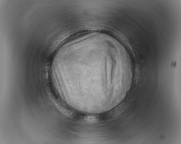 X0000114560114200911161233