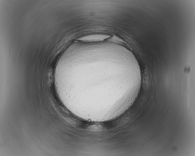 X0000114560119200911161232