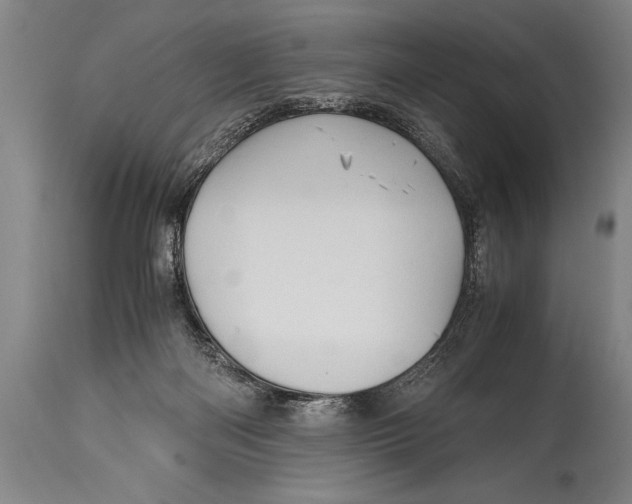 X0000114560122200911161232