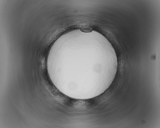 X0000114560123200911161232