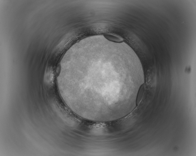 X0000114560124200911161232