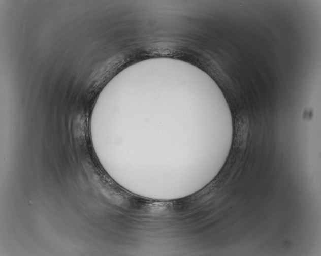 X0000114560126200911161232