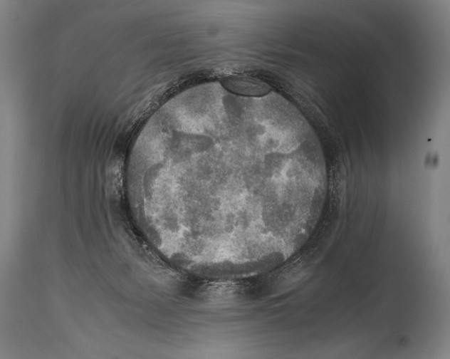 X0000114560127200911161232