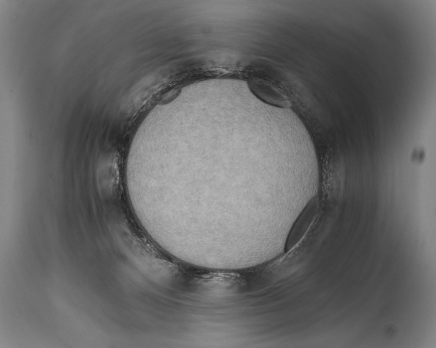 X0000114560128200911161232