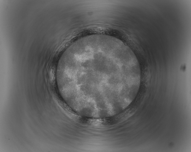 X0000114560131200911161232