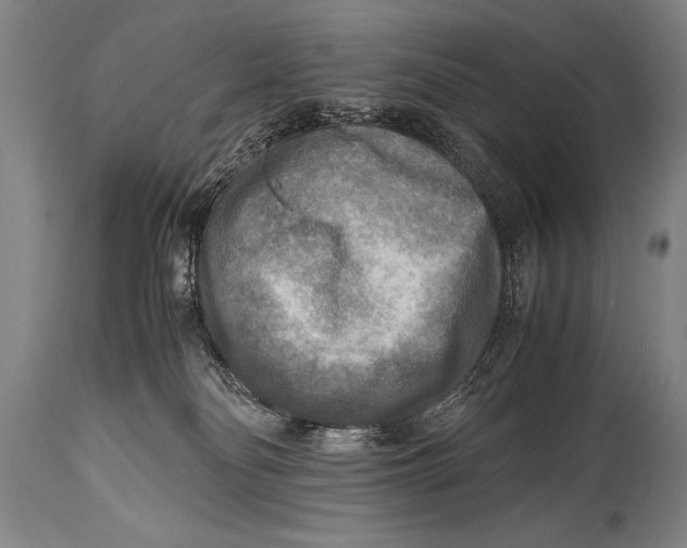 X0000114560134200911161232