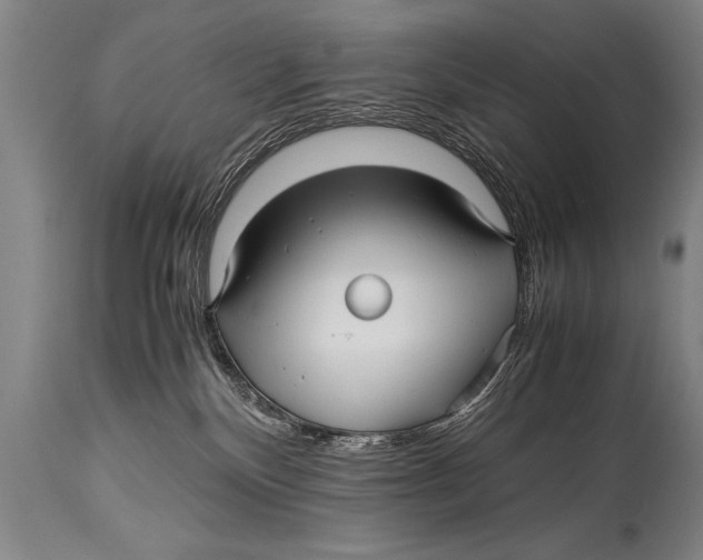 X0000114560136200911161232