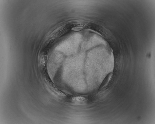 X0000114560137200911161232