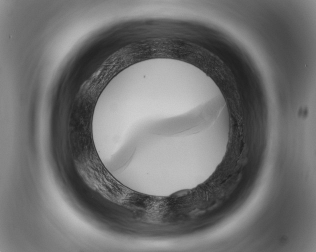 X0000114560143200911161232