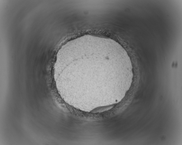 X0000114560144200911161232