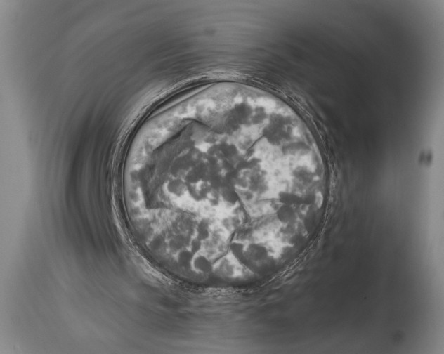 X0000114560145200911161231