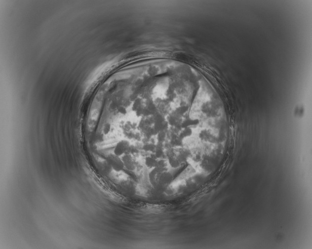 X0000114560149200911161231