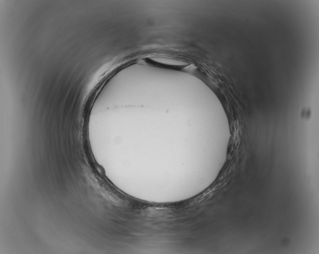 X0000114560150200911161231