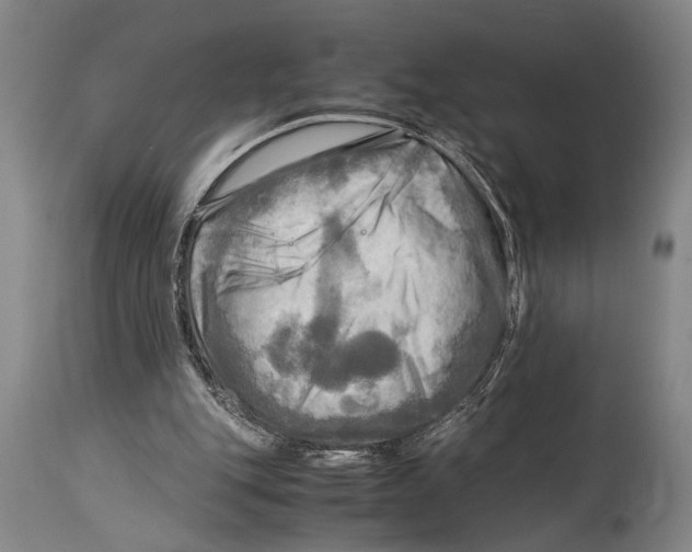 X0000114560151200911161232