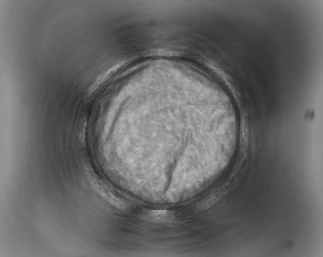 X0000114560153200911161232