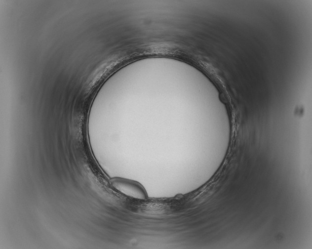 X0000114560154200911161232