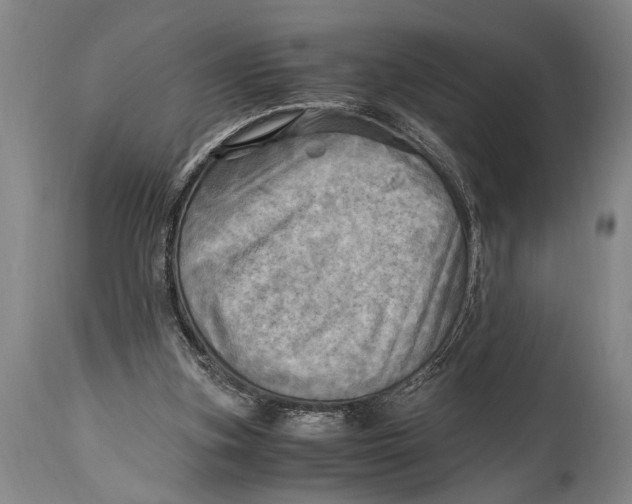 X0000114560155200911161232