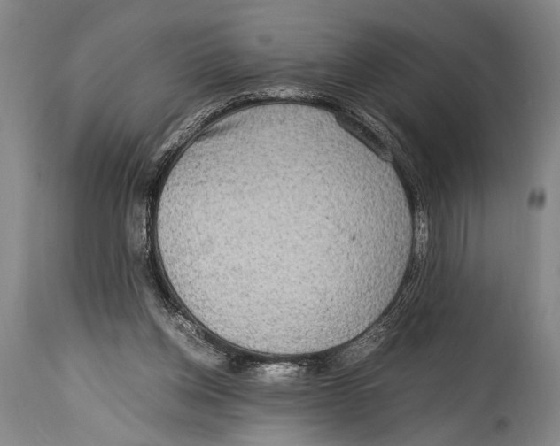 X0000114560158200911161232