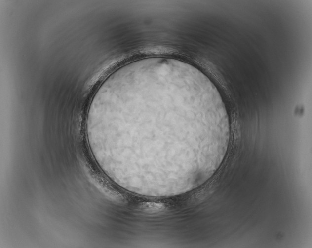 X0000114560159200911161232