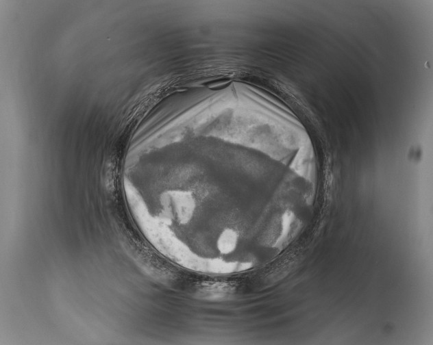 X0000114560161200911161232