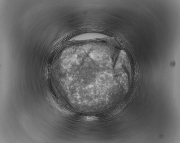 X0000114560165200911161232