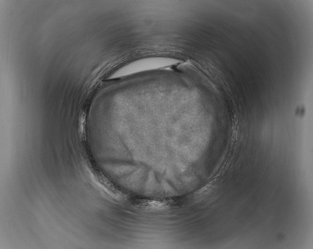 X0000114560166200911161232