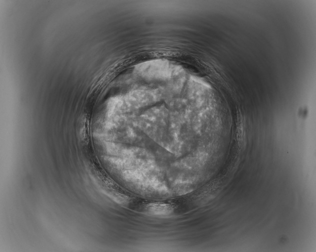 X0000114560169200911161232