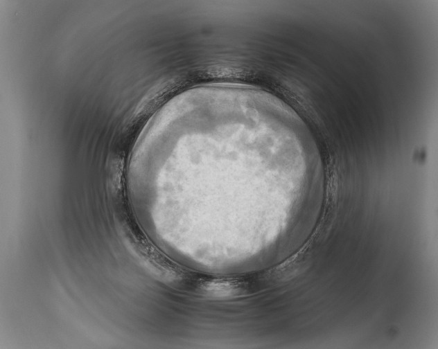 X0000114560171200911161232