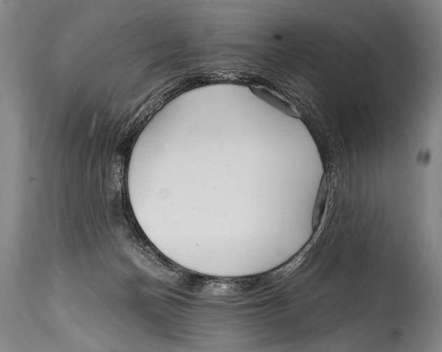 X0000114560174200911161232
