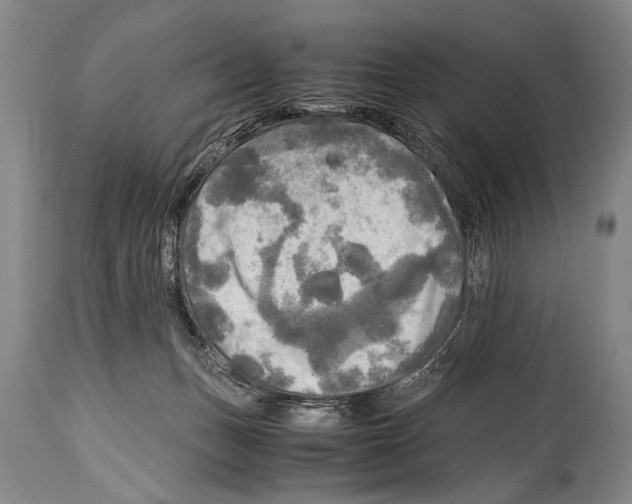 X0000114560175200911161232