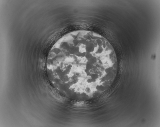 X0000114560177200911161232