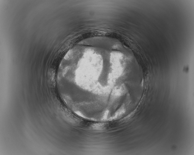 X0000114560178200911161232