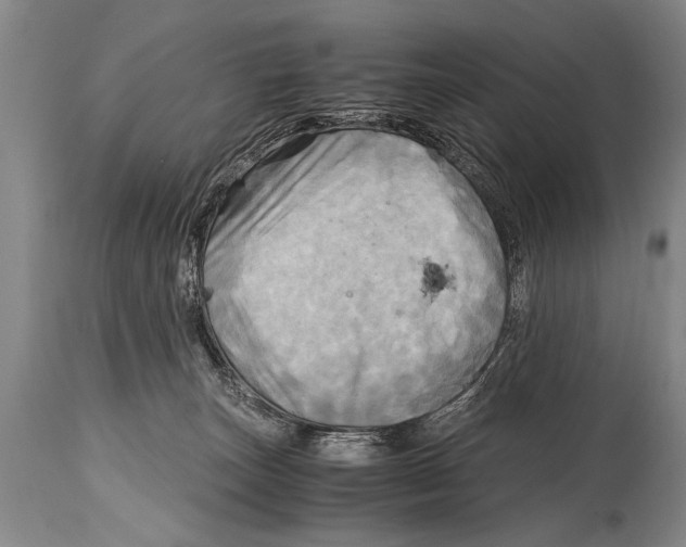 X0000114560179200911161232