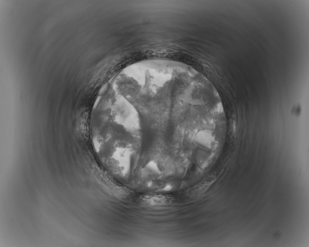 X0000114560181200911161232