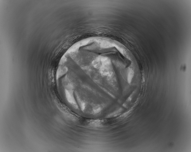 X0000114560182200911161232