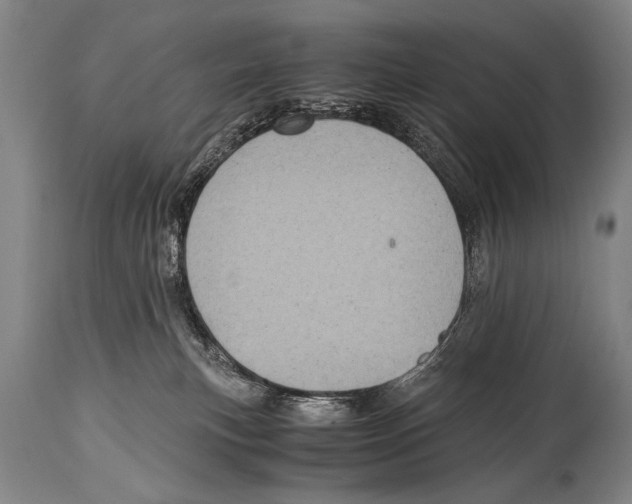 X0000114560183200911161232